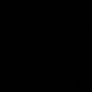 Meet your Posher, Maggie